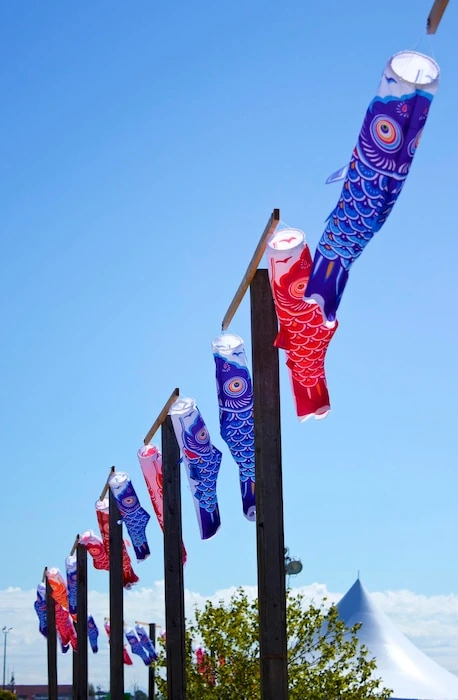flags-hanging